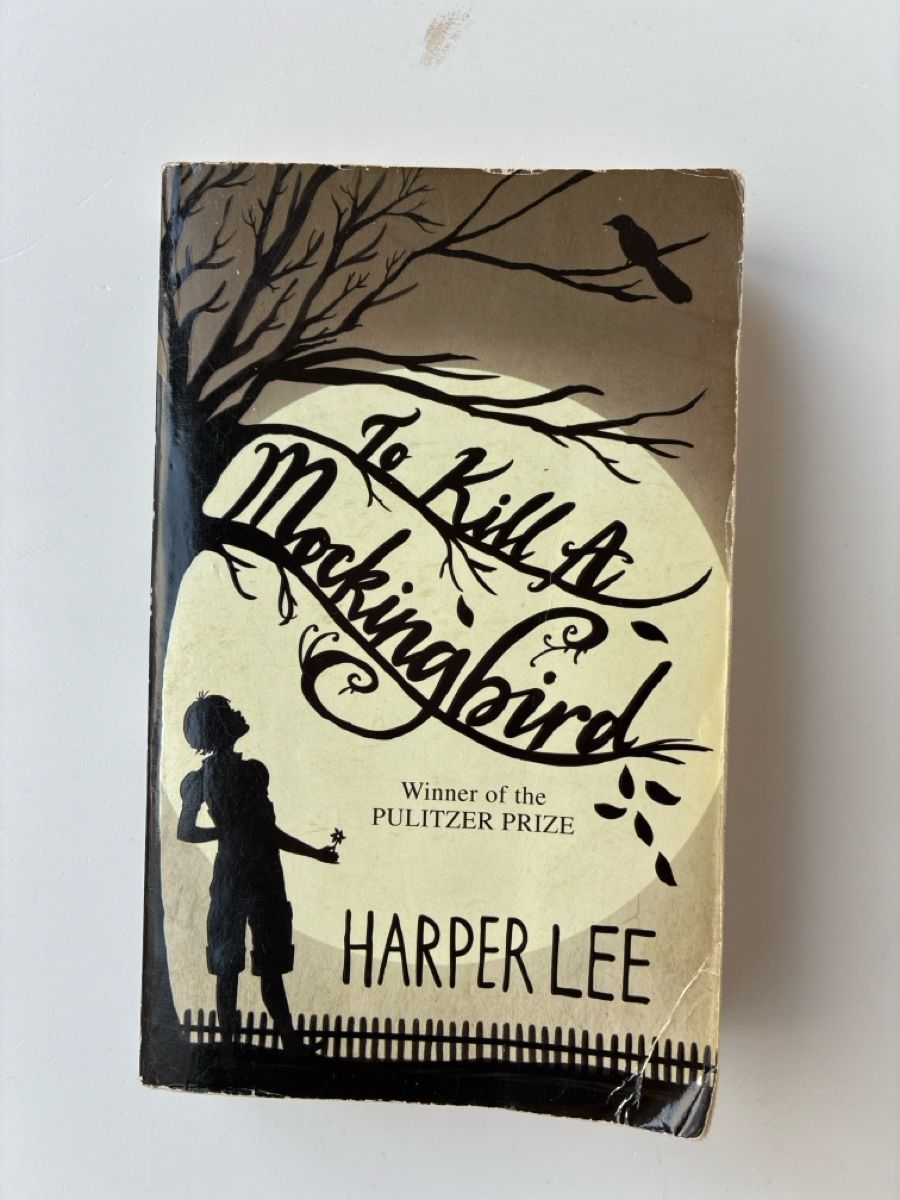 Libri: To Kill A Mockingbird - Harper Lee – Usato da Lucens venduto da metaD