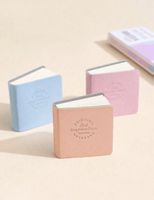 Lot de 3 mini carnets