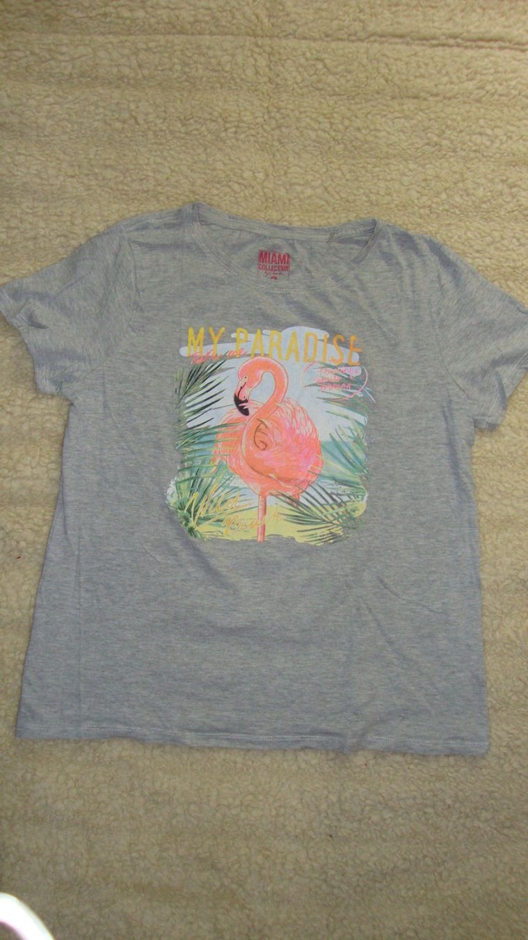 T-shirt: Flamingo T-Shirt Gr. M – Usato da Laufen venduto da ereli
