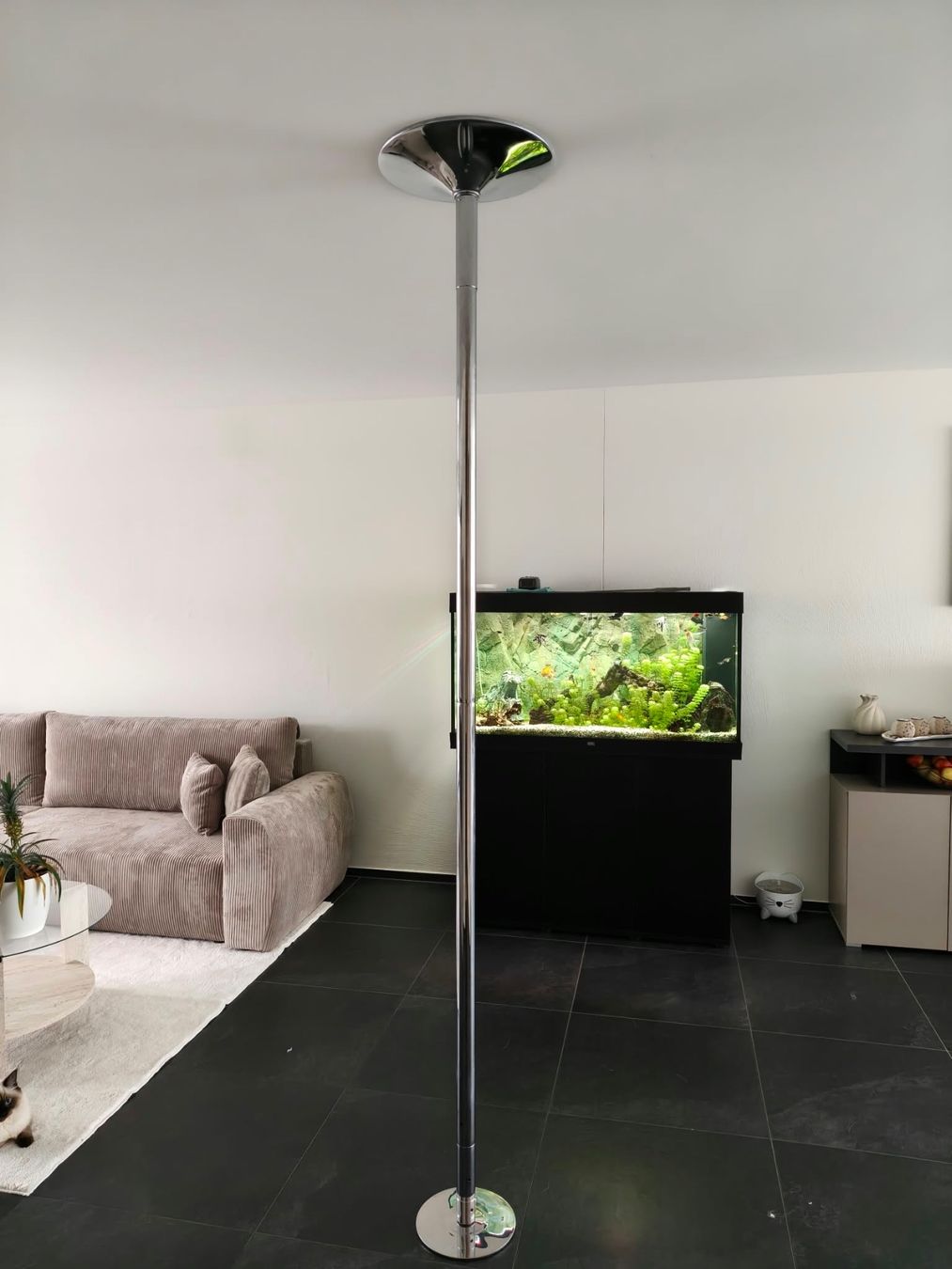 Vélos d'appartement: Neue Poledancestange – Neuf (Voir description) à Altendorf par S.Maechler