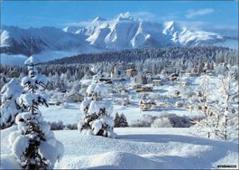 Flims GR // 1973 Waldhaus mit Signina verschneit