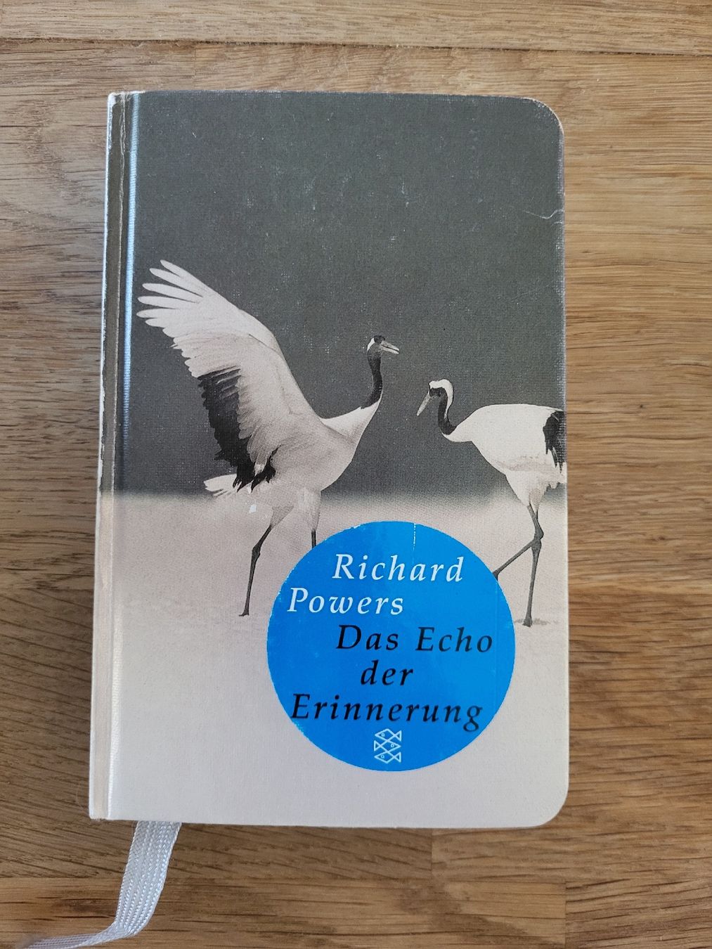 Libri: Richard Powers: Das Echo der Erinnerung – Usato da Amriswil venduto da noe_z7wn