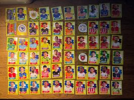 Panini W26 - 60 unique cards