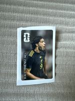 Panini coca extra sticker Raul Jimenez - CC8