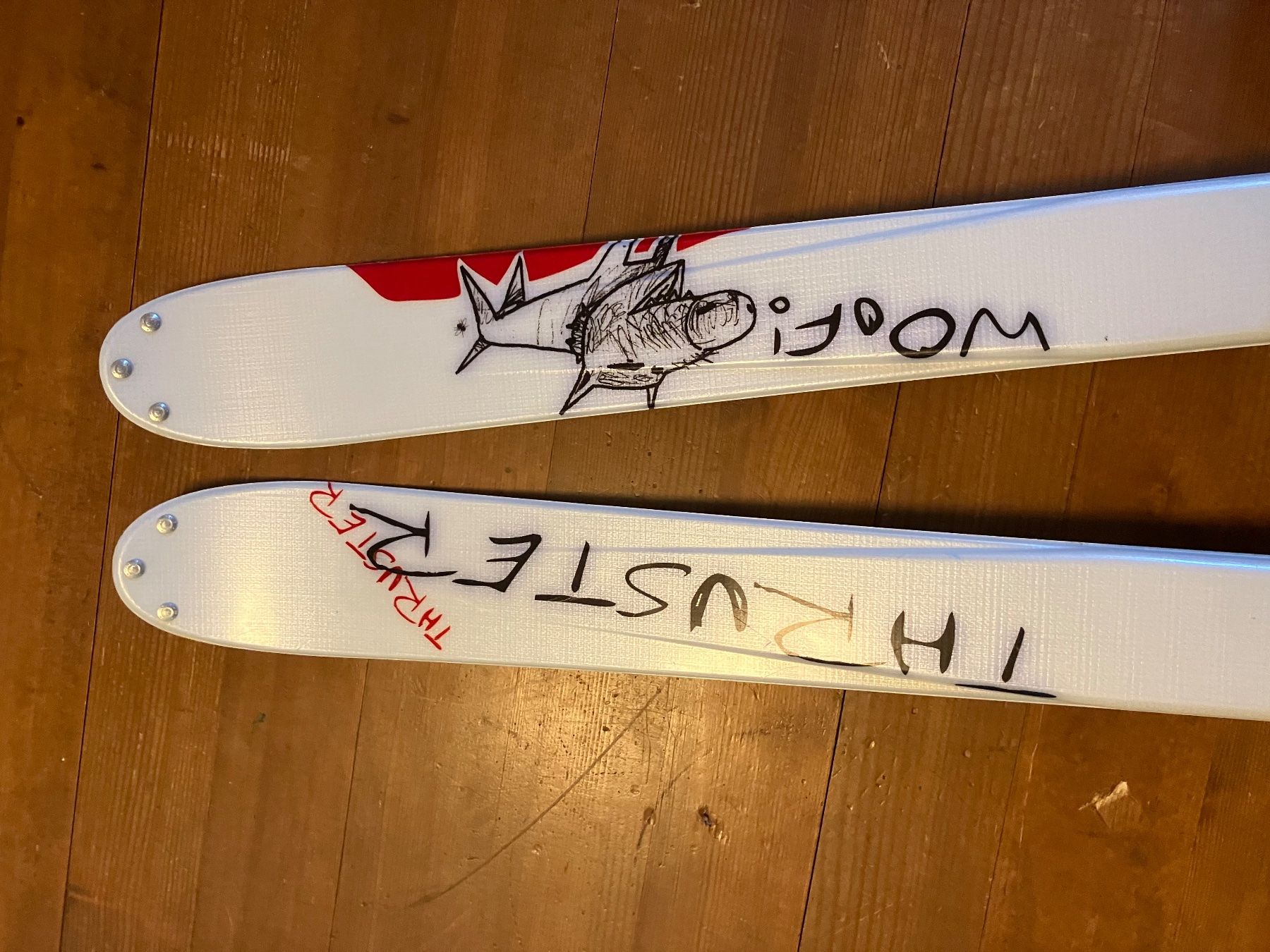 Salomon Skis: Ski salomom thruster 171cm – Gebraucht aus Correvon von HelloBello71 5