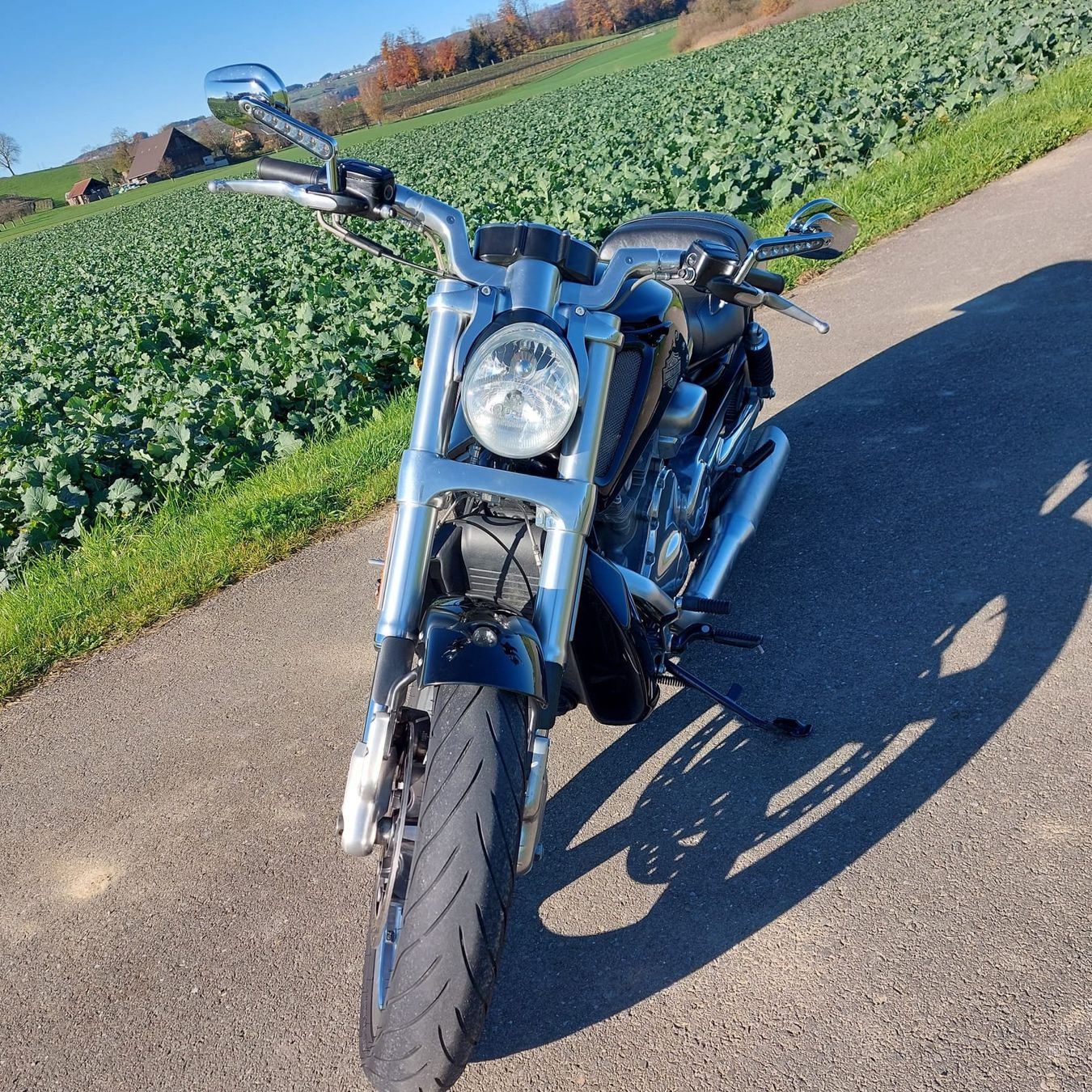 Harley-Davidson VRSCF 1250cm (Gebraucht) in Sessa für CHF 12000 – nur ...