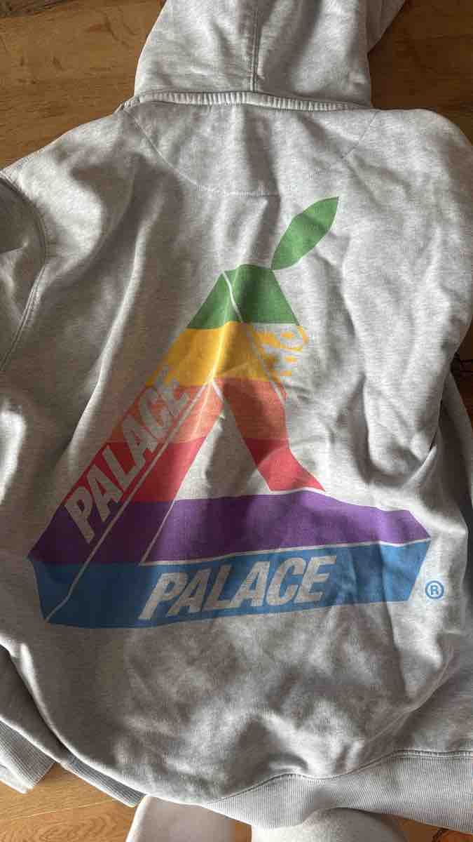 Palace Maglioni & Felpe: Palace Kapuzenpullover Grösse L – Usato da Zürich venduto da verkaufeallerlei 1