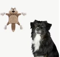 Hundespielzeug-Eichhörnchen-Strapazierfähig-Mittlere Hunde