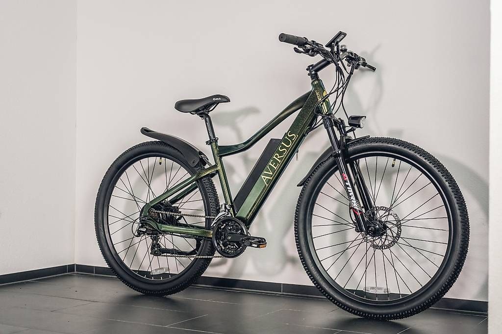 Biciclette: Aversus Bergsteiger E-Bike – Usato da Oftringen venduto da AversusBikestore 2