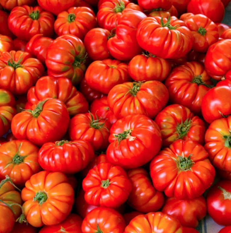 Piante & sementi: TOMATE Costoluto Fiorentino / 5 Samen – Nuovo (secondo la descrizione) da Hinteregg venduto da ERFOLG78 3