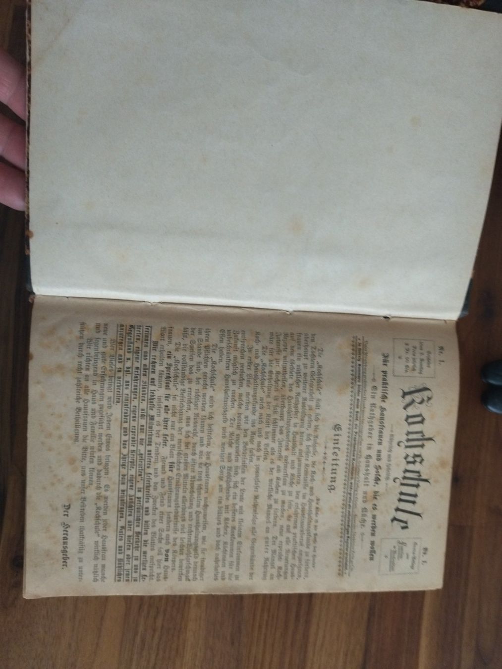 Libri: Kochbuch antik 1885 – Usato da Felben-Wellhausen venduto da bananajoe8474 2