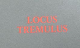 RAR! Locus Tremulus (Ilona Ruegg): Schweizer Institut in Rom