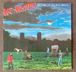 MR. MISTER Welcome To The Real World 1stPress Vinyl LP KYRIE