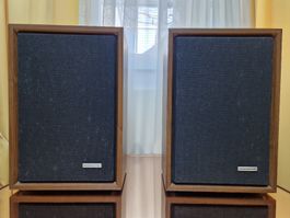 Magnasonic sx 809