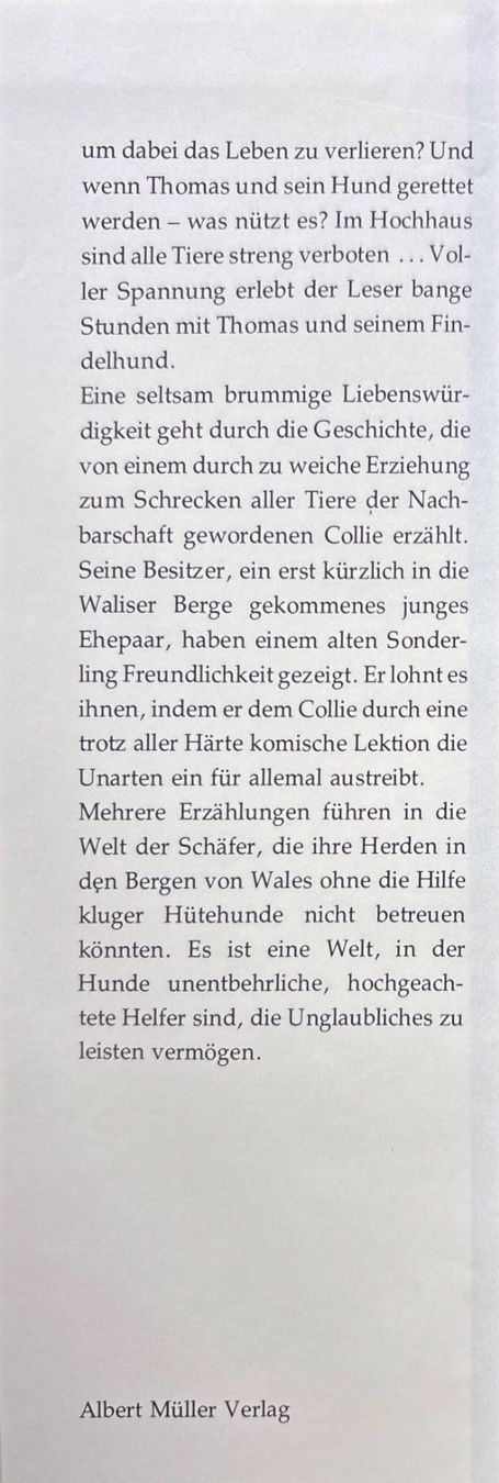 Libri: Kamerad Hund - Hundegeschichten – Nuovo e nell'imballaggio originale da Sarnen venduto da Livres 2