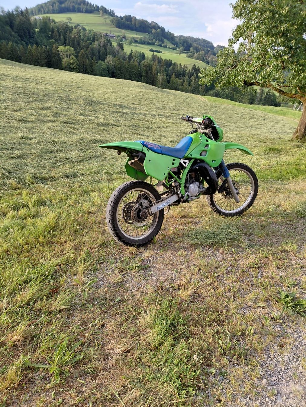 Kawasaki Enduro: Kawasaki KDX 125 – Usato da Dreien venduto da rap_br5l 1