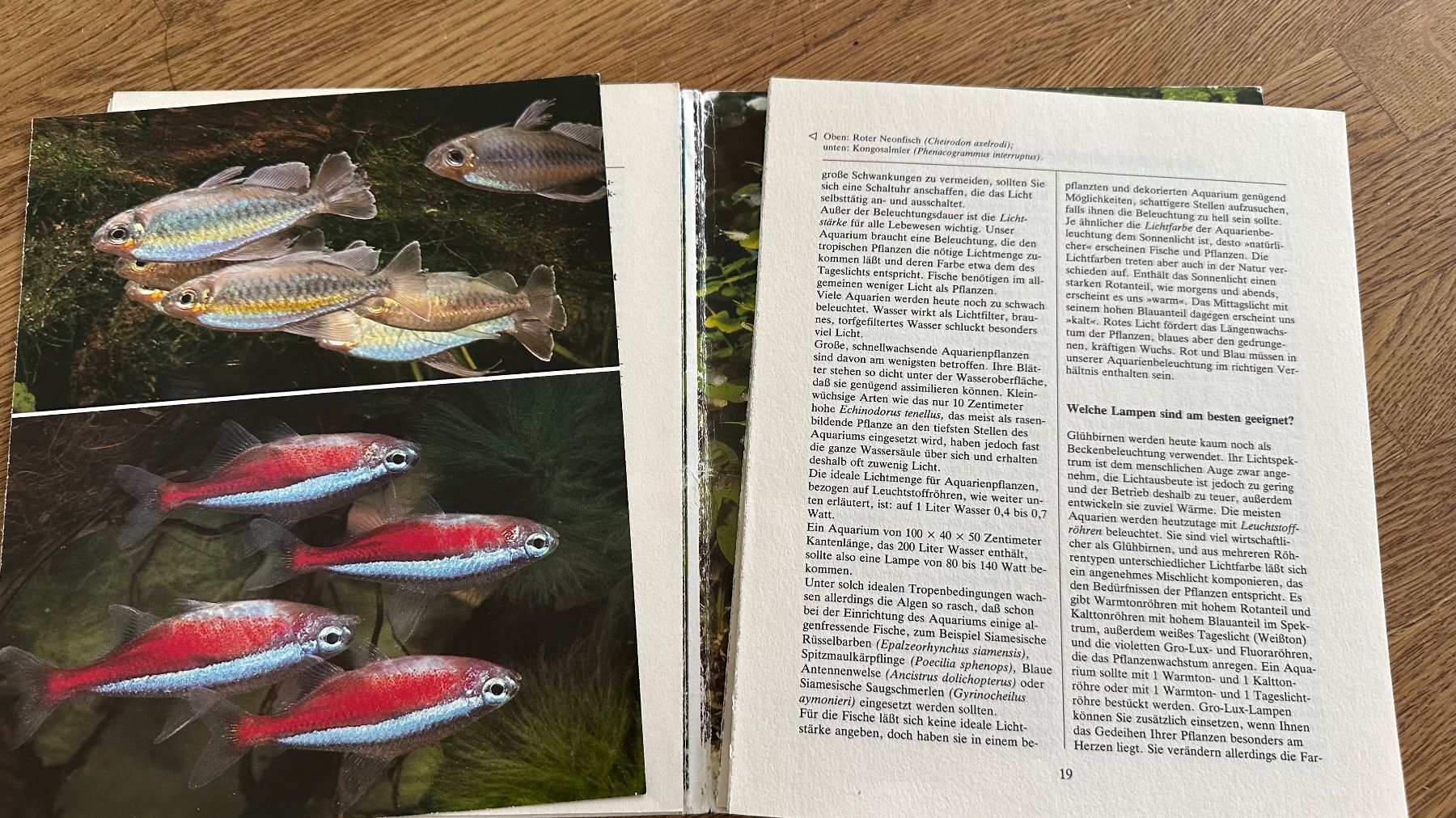 Bücher: Ratgeber kleine Aquarien – Gebraucht aus Krauchthal von Kiddy32 3