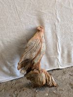 Erwin Abegglen Brienz grosser Adler Holzschnitzerei Original