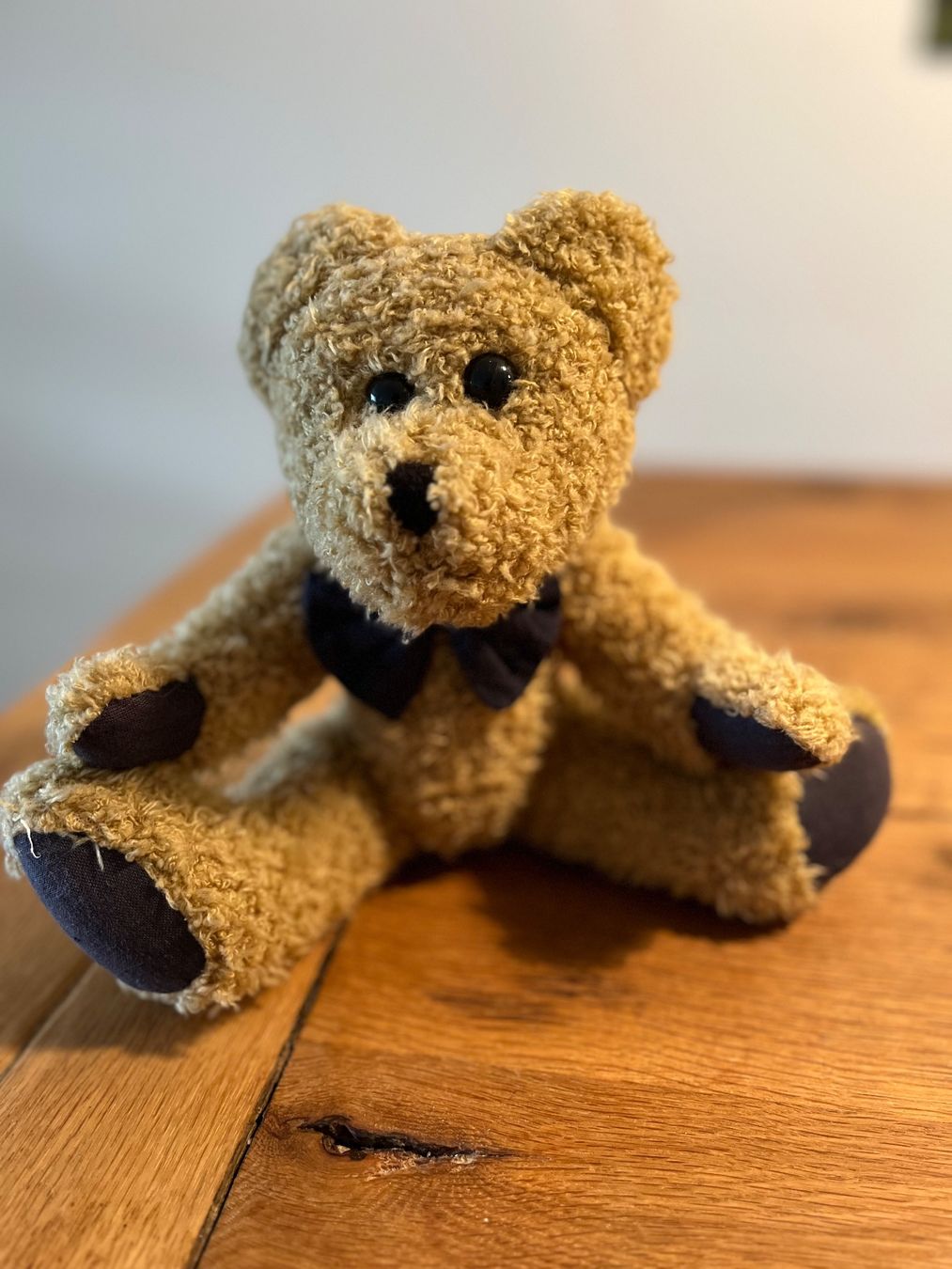 Giocattoli: herziger Teddybär – Usato da Wohlen AG venduto da momo_1973