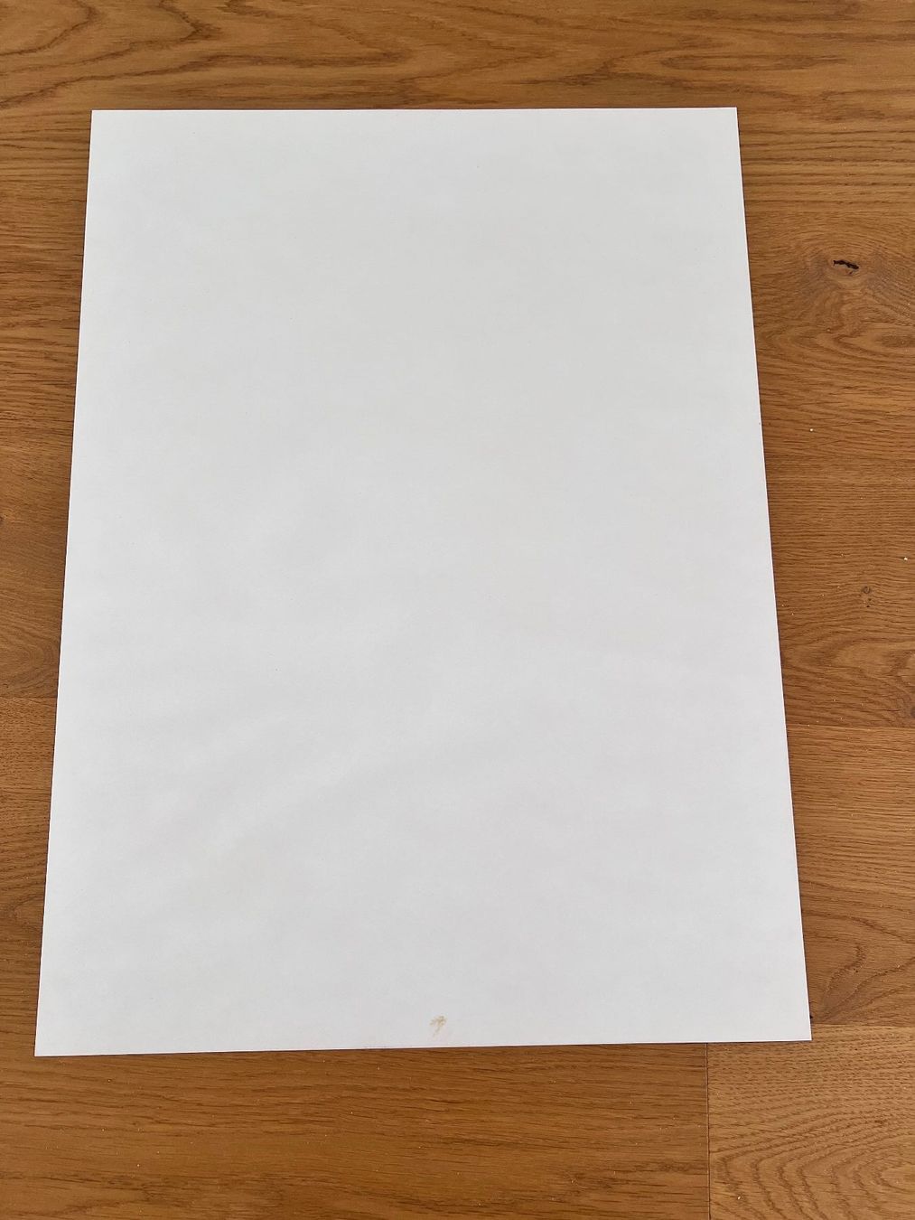 Grafica & Litografie: Litho Willi Meister – Usato da Münchenbuchsee venduto da Volver64 4