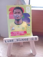 Carte foot Panini 2026 Siyabonga Ngezana RSA8