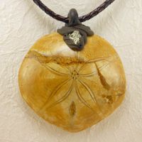 Grosser versteinerter Seeigel Anhänger mit Pyrit auf Leder