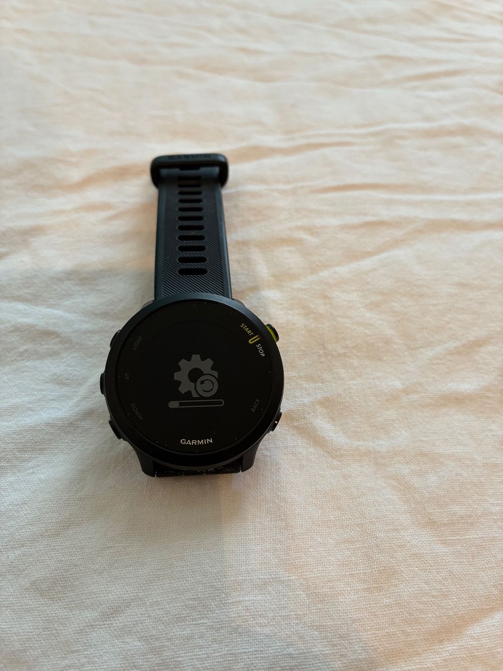 Garmin Smartwatch: Garmin Forerunner 55 inkl. Ladekabel (USB-A) – Usato da Zürich venduto da martini_19