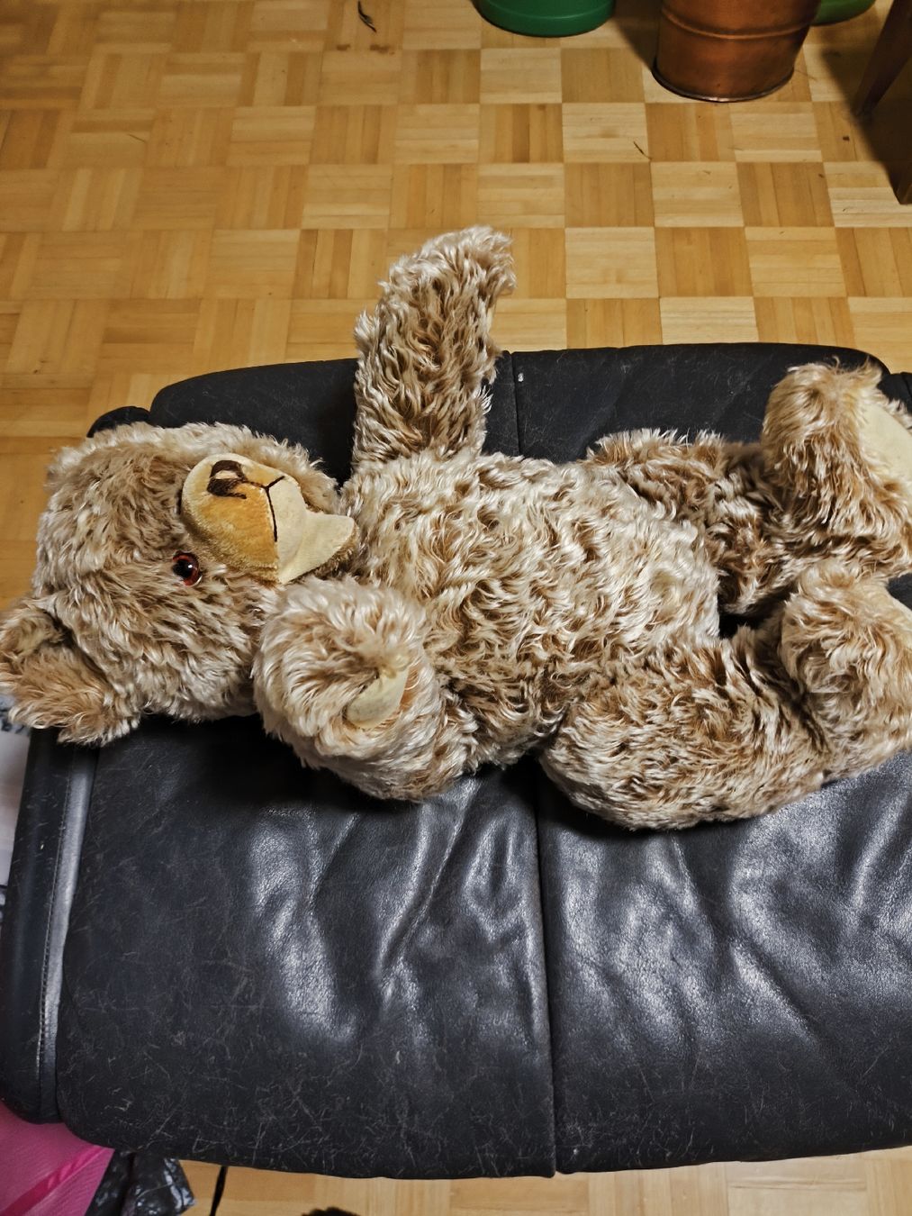 Steiff Giocattoli: Vintage Steiff Bär Zotti 53 cm – Usato da Gipf-Oberfrick venduto da hituliina 3