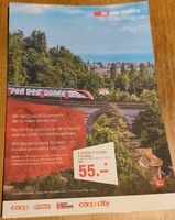 SBB Tageskarte, ohne Halbtax