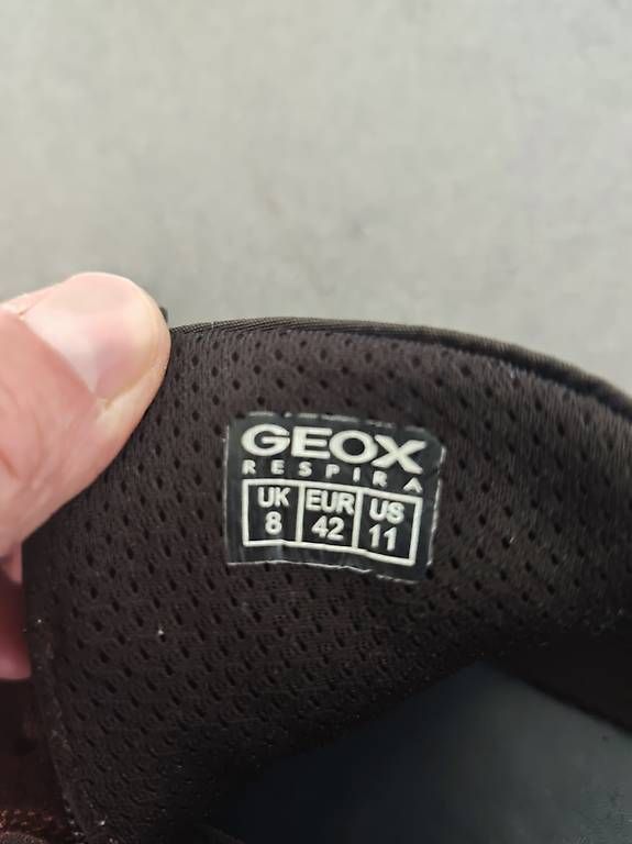 Geox Scarpe da uomo: GEOX Lederschuhe braun, 42 – Usato da Bern venduto da beschleuniger 1