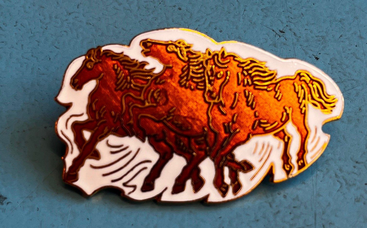 Placchette & Badge: Pin Simone Erni - Pferde – Usato da Obernau venduto da Wgnom