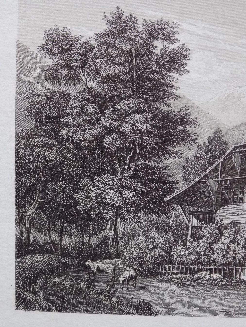 Stiche: Wilderswil Berner Oberland – Gebraucht aus Risch von Rischli15 3