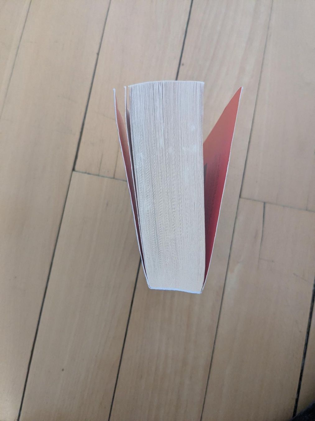Libri: The Every - Dave Eggers – Usato da Zürich venduto da reb_gdl9 3
