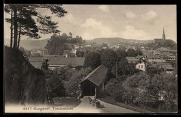 AK Burgdorf, Totalansicht mit Kirche aus der Vogelschau