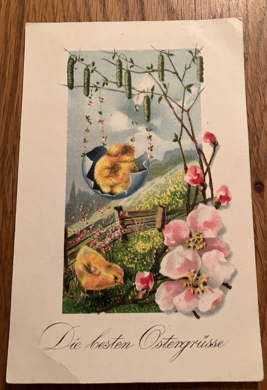Cartoline postali: Ansichtskarten Antik Ostern Grüsse – Usato da Waldstatt venduto da breitaxt 5