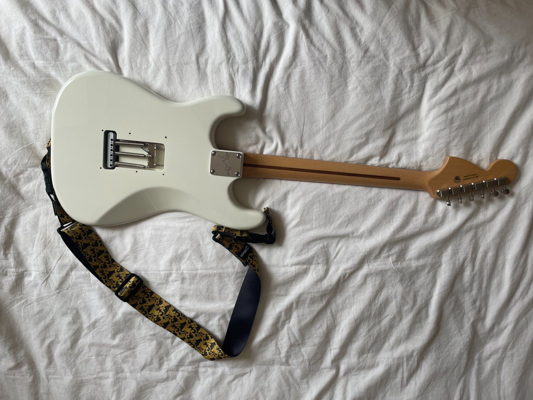 Fender Strumenti musicali: Fender American Performer Stratocaster + DiMarzio Steve Vai – Usato da Elgg venduto da Chuck42 1