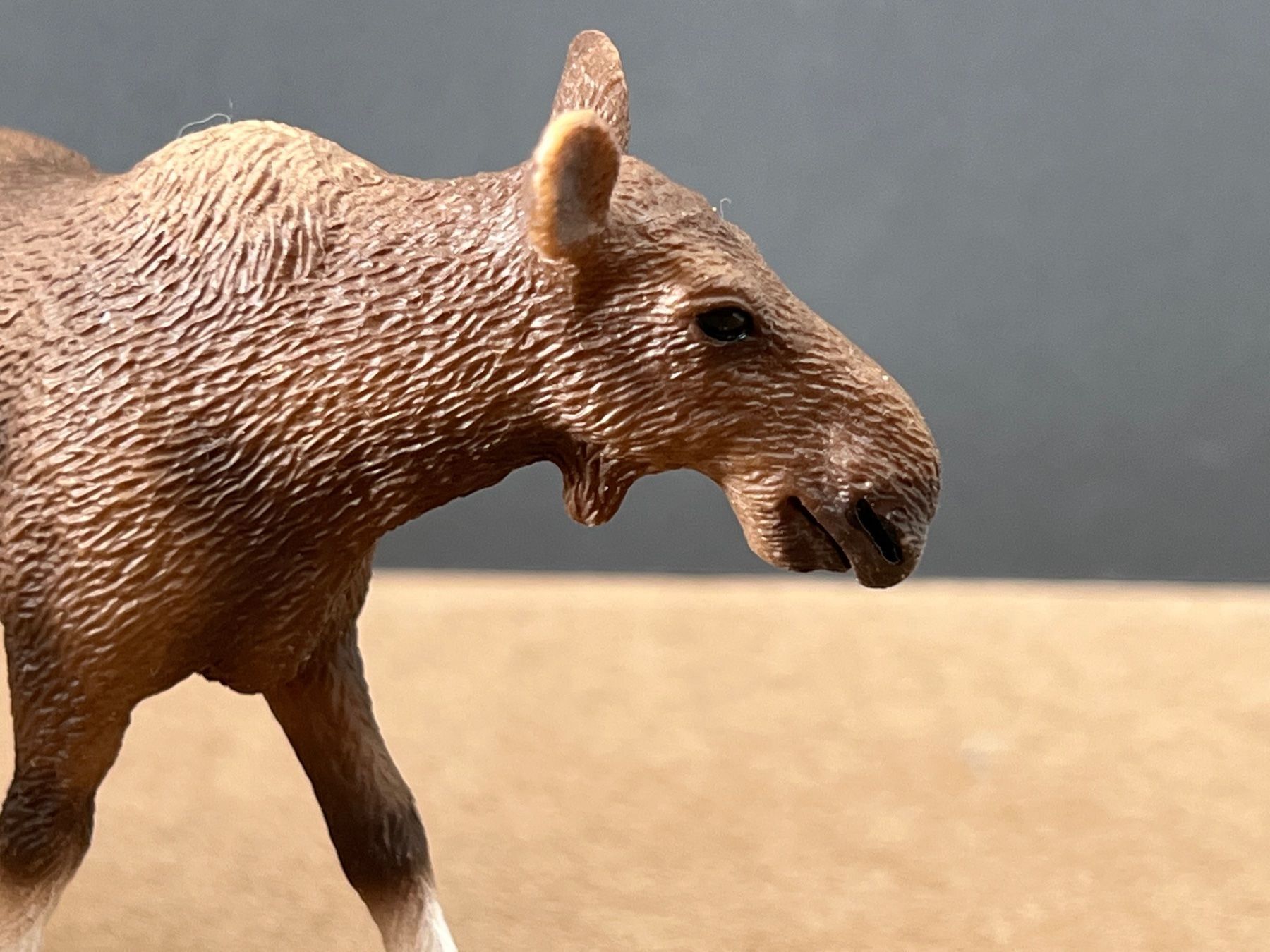 Schleich Statuette: Schleich 14620 Elch Kuh – Usato da Ennetbaden venduto da mapa05 2