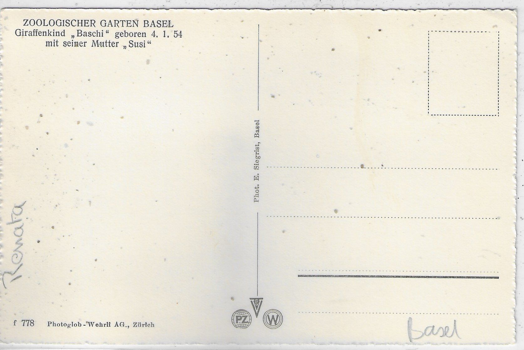 Cartoline postali: Zoologischer Garten Basel - Giraffenkind "Baschi" mit "Susi" – Usato da Ettingen venduto da Kartenplanet 1