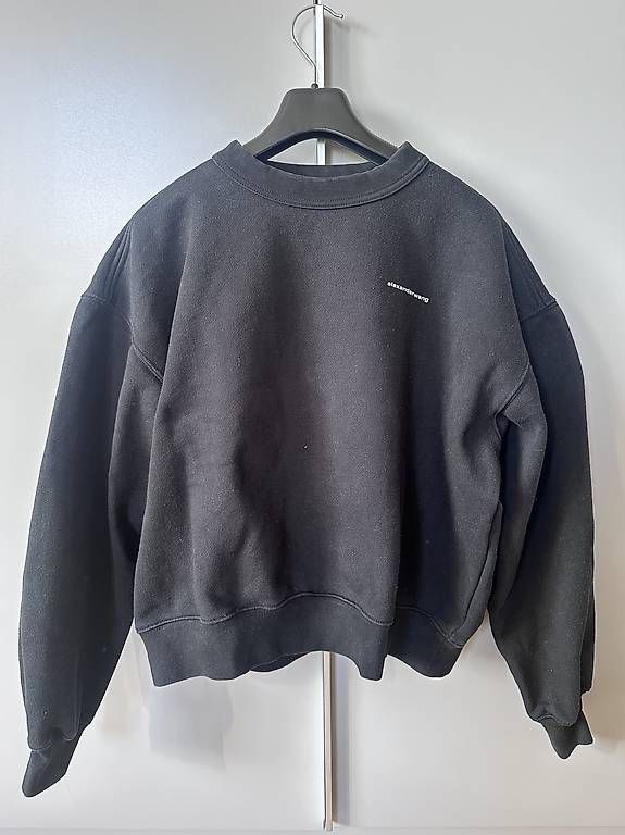 Pullover & Sweatshirts: Pullover Alexander Wang – Gebraucht aus Fribourg von samsam04