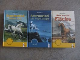 3 Pferde Bücher von Mary O'Hara, Sonderausgabe Pferde-Klasse
