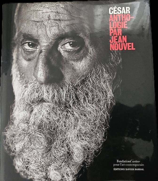 Libri: César Baldaccini Ausstellungskatalog Fondation Cartier – Usato da Zürich venduto da Nistiman