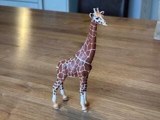 Schleich Statuette: Schleich Giraffen Jungtier – Usato da Reinach BL venduto da zurli44
