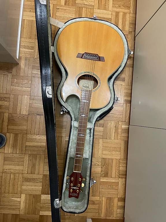 Washburn Strumenti musicali: Guitare Washburn E 26 – Usato da Savièse venduto da Jackpere 1