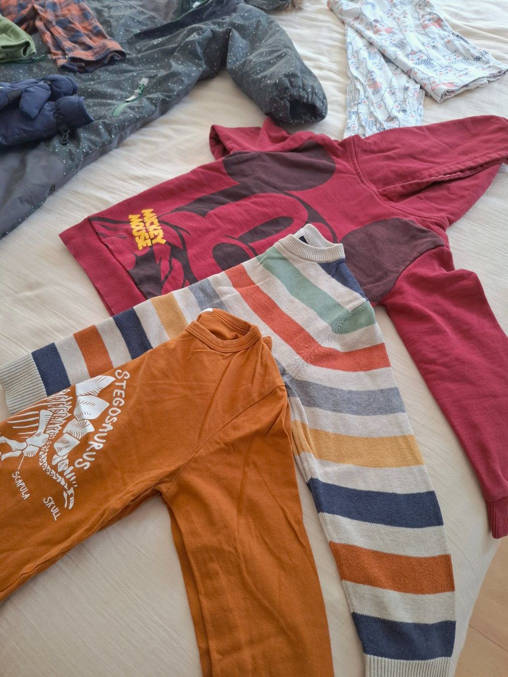 Kleiderpakete & -sets: 🦊Kleiderpaket Jungs 110 – Gebraucht aus Schaffhausen von ricmivo 2