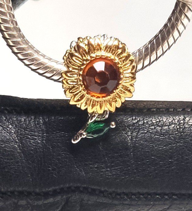 Ciondoli: Charms kompatibel mit Pan-do-ra – Nuovo e nell'imballaggio originale da Lamboing venduto da Qtrica 5