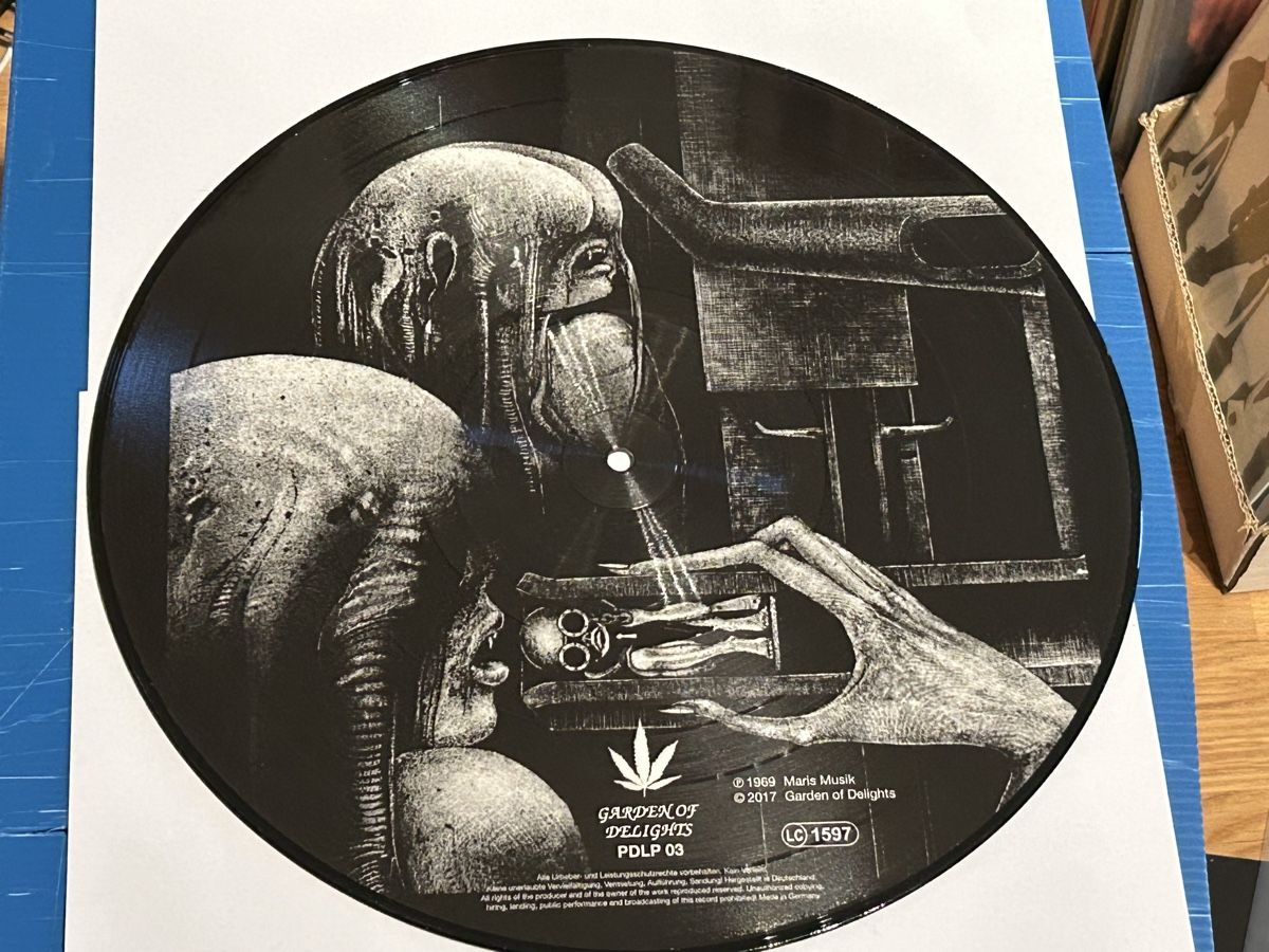 Dischi in vinile: Shiver. 2017. Limited Edition Numbered 492/1000 – Usato da Faulensee venduto da Mizuno06 8