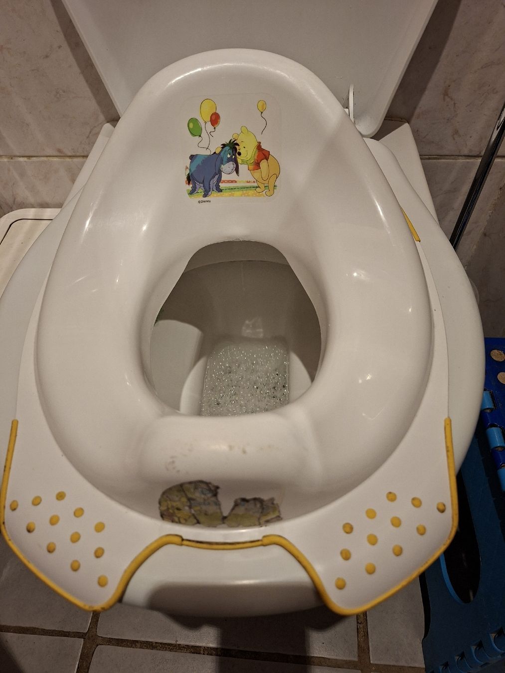 WC: Réducteur pour les toilettes – Gebraucht aus Montmollin von islachat 1