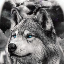Profile image of Igor147