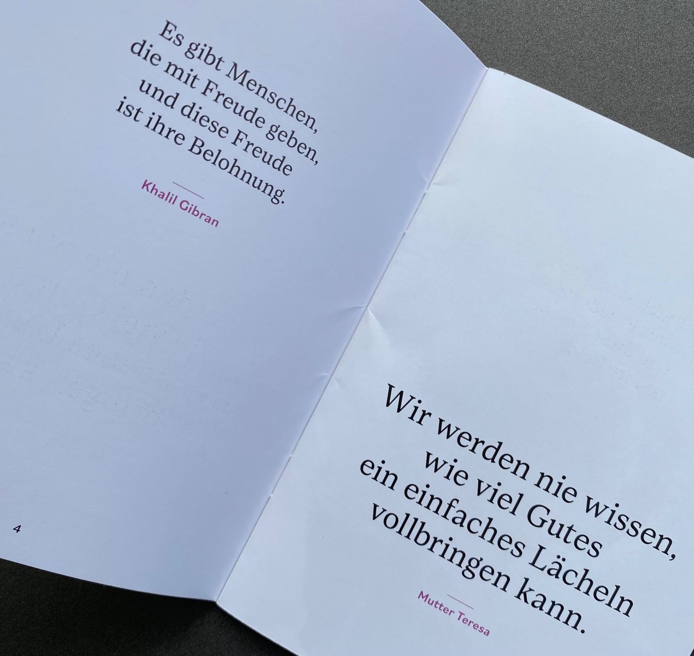 Livres: Zitatebüchlein FREUDE „Procap“ – Neuf avec emballage d'origine à Dietlikon par Sa_Biene 1