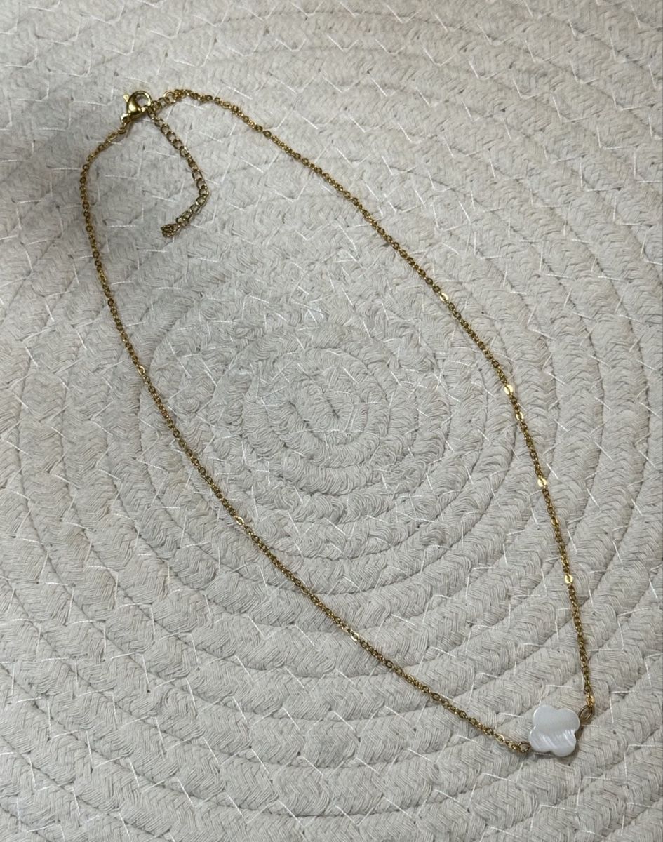 Catenine: Collier en acier inoxydable – Nuovo e nell'imballaggio originale da Châtel-St-Denis venduto da Diamond-Mountain 4